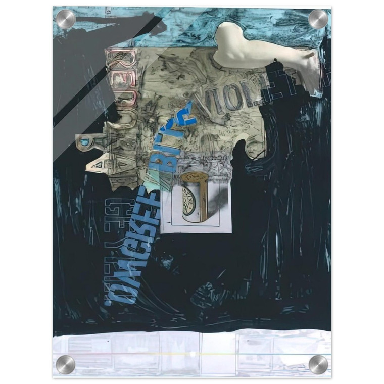 Jasper Johns  DECOY 1971 Acrylic Print