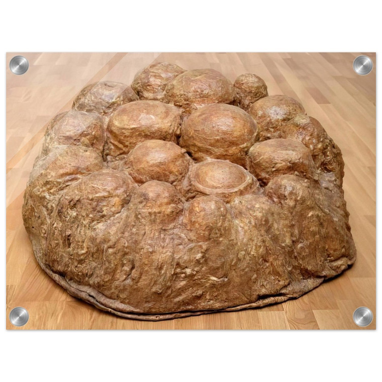 Louise Bourgeois  AVENZA 1969 Acrylic Print