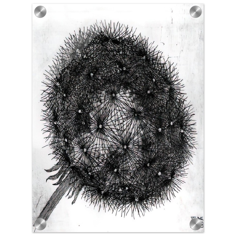 MC Escher  BLOWBALL I Acrylic Print