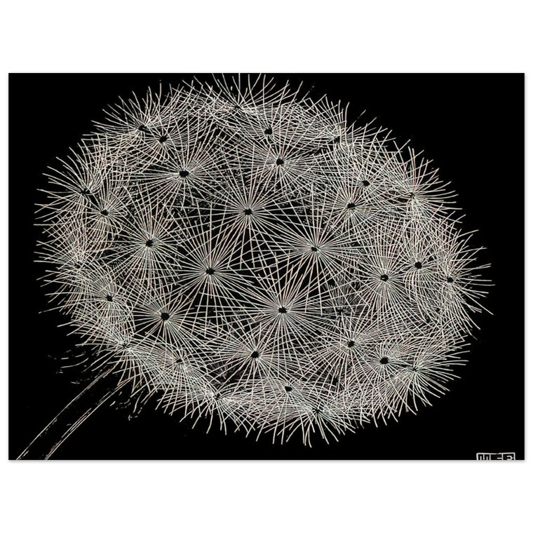 MC Escher  BLOWBALL II Wood Print