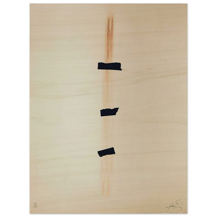 Antoni Tapies  LES TROIS NOIRS 1976 Wood Print