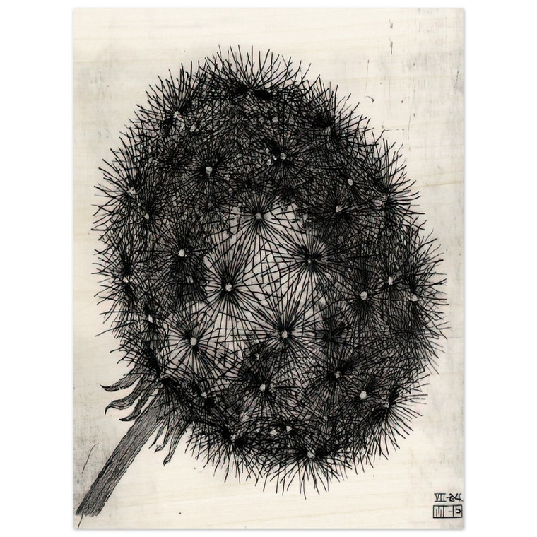 MC Escher  BLOWBALL I Wood Print