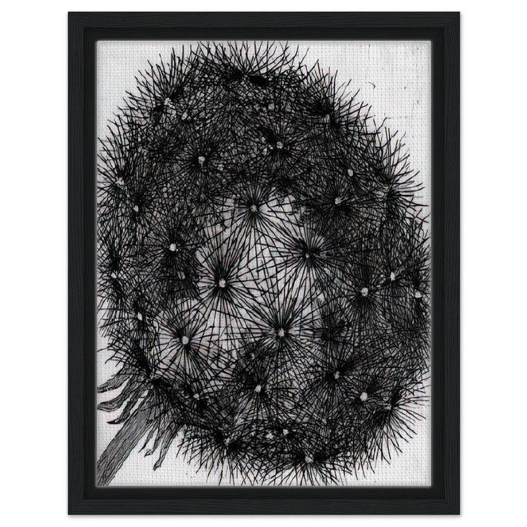 MC Escher  BLOWBALL I Framed Canvas