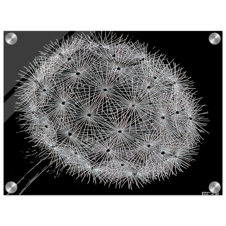 MC Escher  BLOWBALL II Acrylic Print