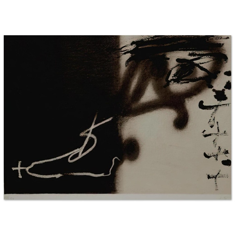 Antoni Tapies  DIVIS 1983 Fine Art Poster / Art Print