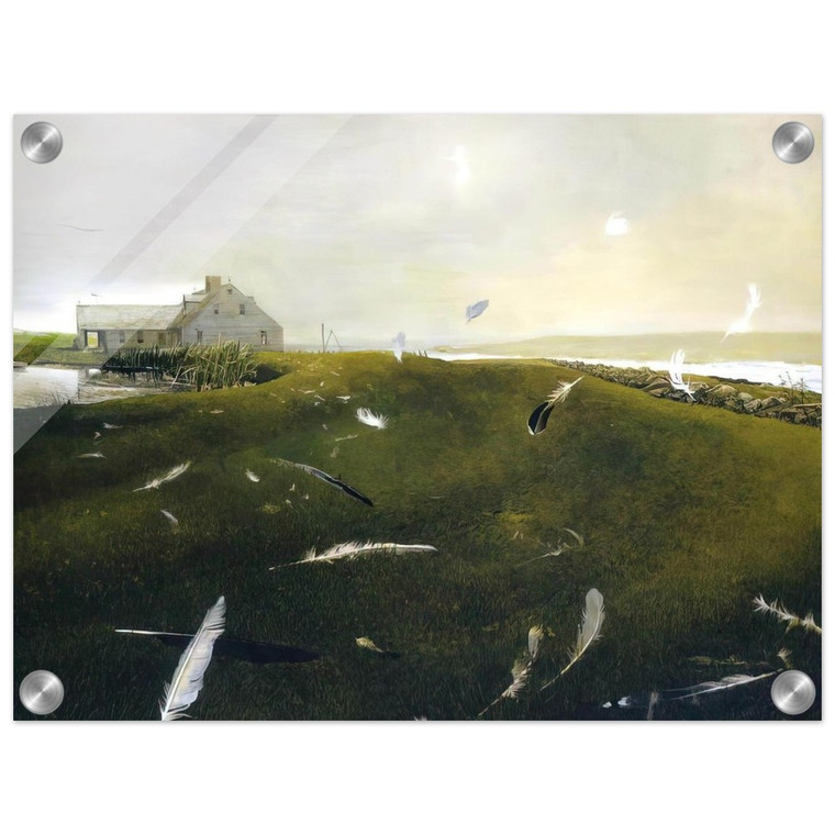 Andrew Wyeth  AIRBORNE Acrylic Print