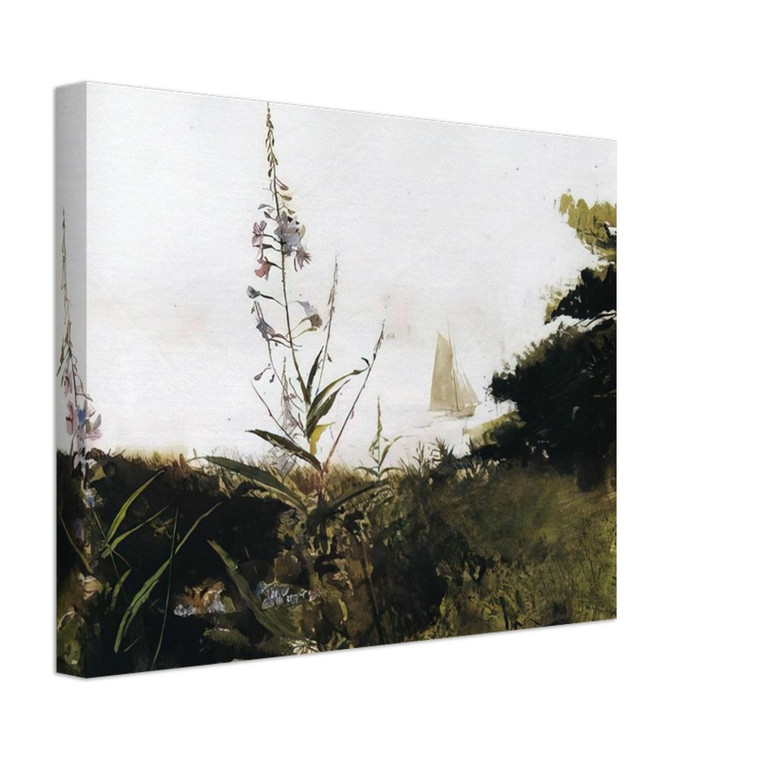 Andrew Wyeth  UNDER SAIL Canvas