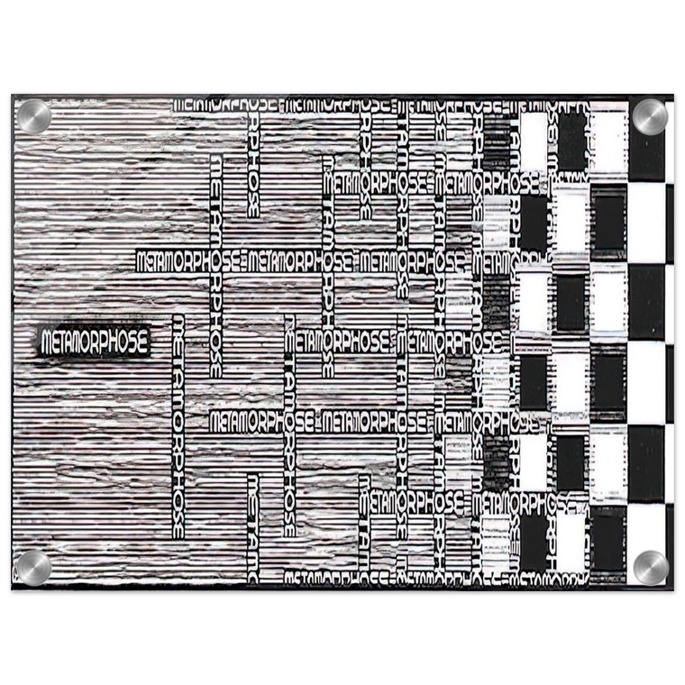 MC Escher  METAMORPHOSIS II EXCERPT 1 Acrylic Print