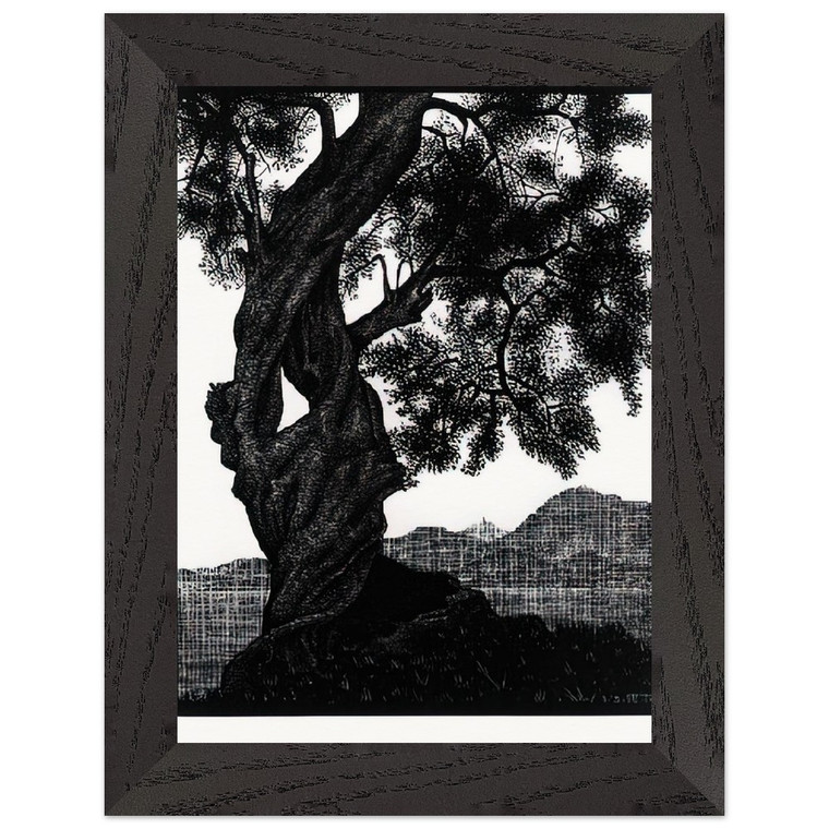 MC Escher  OLD OLIVE TREE CORSICA Premium Wooden Framed Art Print / Poster