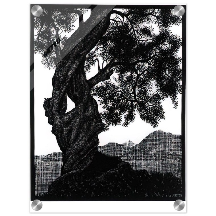 MC Escher  OLD OLIVE TREE CORSICA Acrylic Print