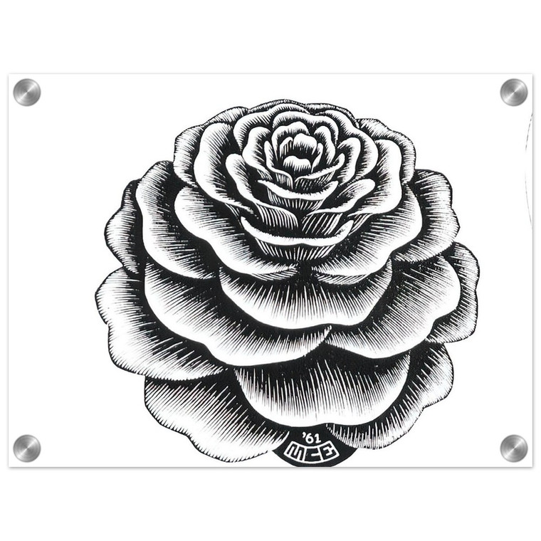 MC Escher  FLOWER 1 Acrylic Print