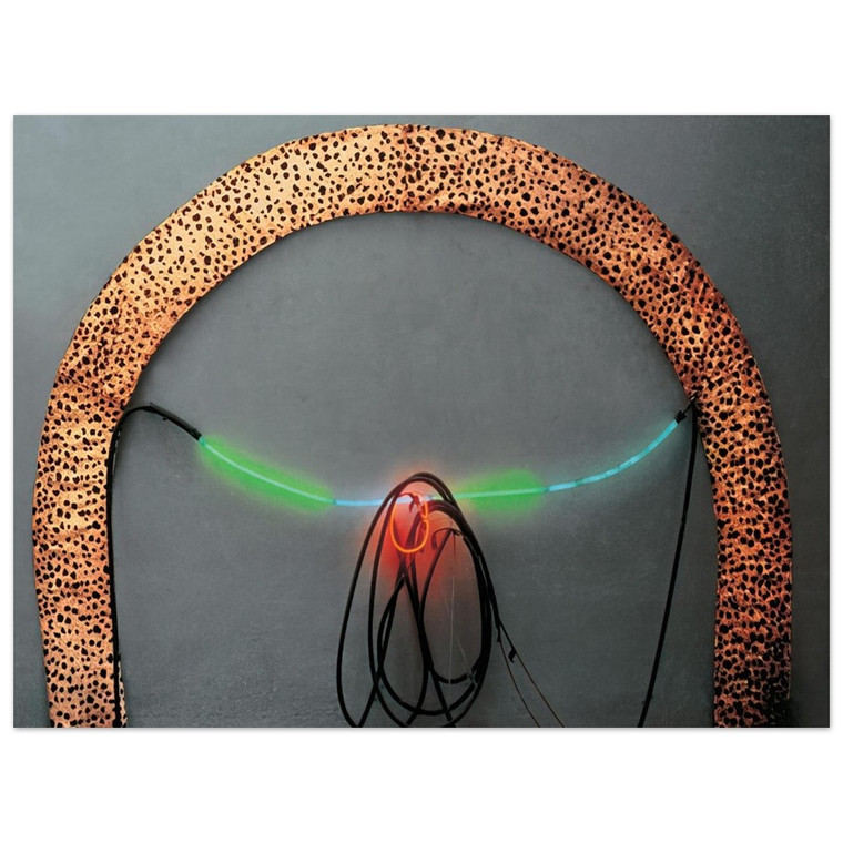 Lygia Pape  Eye of Guara  1984 Aluminum Print