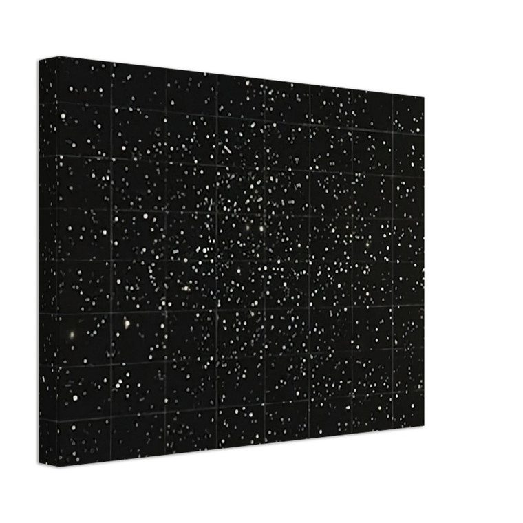 Vija Celmins  STRATA 1983 Canvas