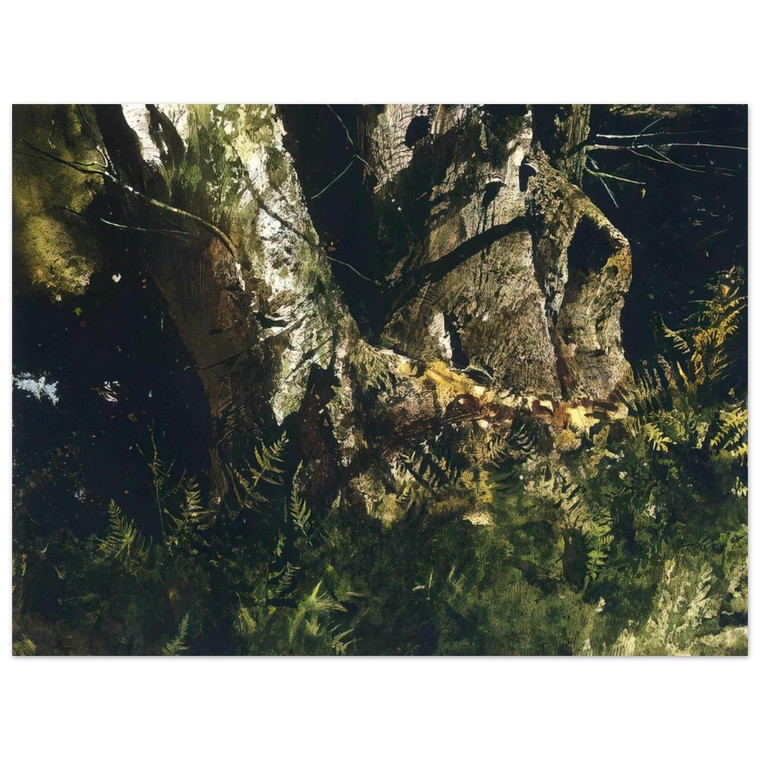 Andrew Wyeth  VIRGIN BIRCH 1982 Aluminum Print