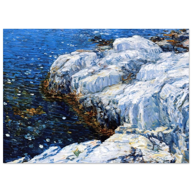 Childe Hassam  Jelly Fish Fine Art Poster / Art Print