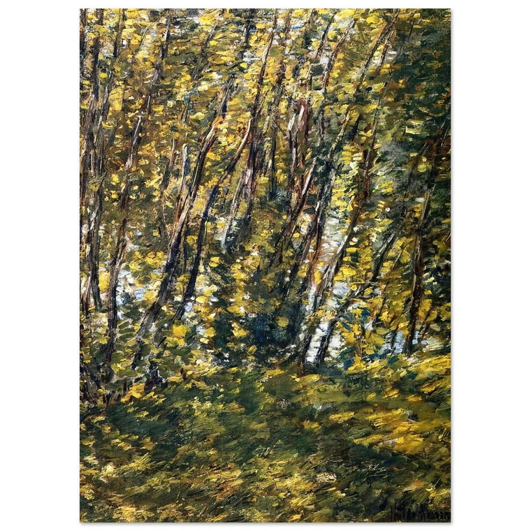 Childe Hassam  Nude in Sunlilt Wood Fine Art Poster / Art Print