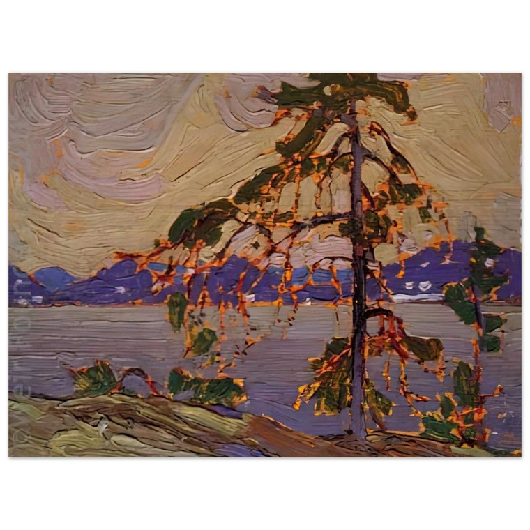 Tom Thomson  SKETCH FOR THE JACK PINE 1916 Aluminum Print