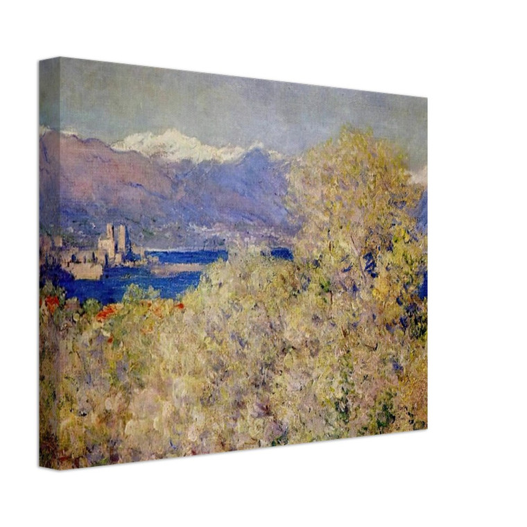 claude monet  Antibes  View of the Salis Gardens Canvas
