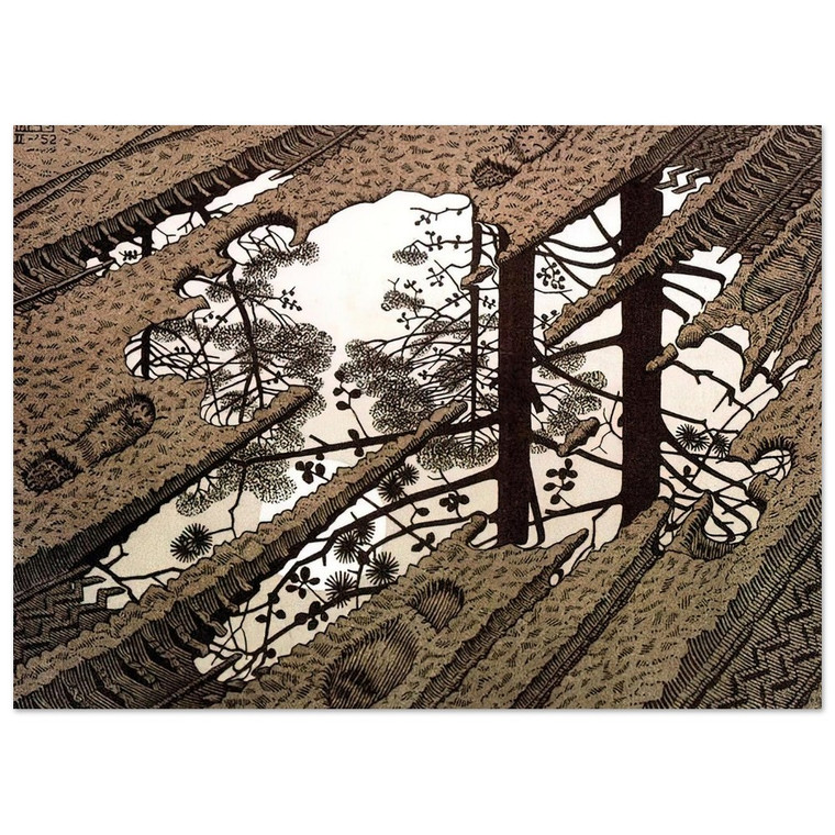 MC Escher  PUDDLE Fine Art Poster / Art Print