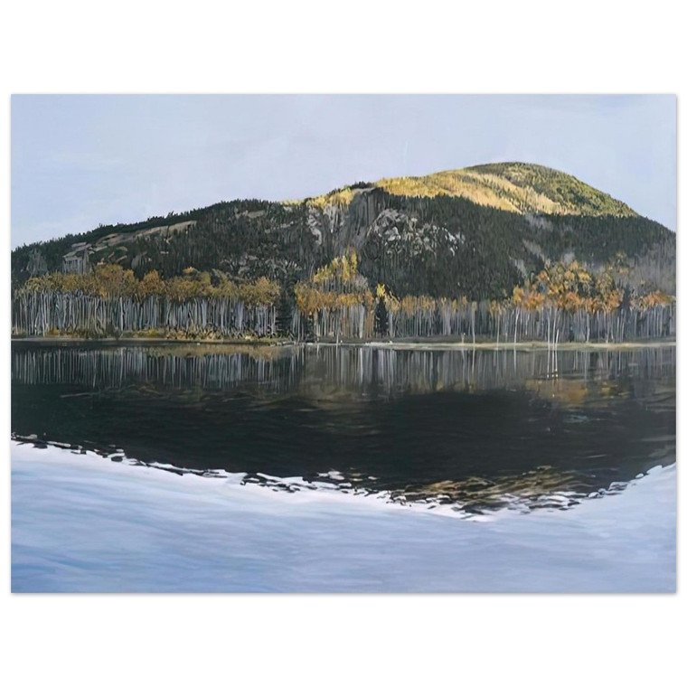 Richard Estes  BEAVER DAM POND ACADIA NATIONAL PARK 2009 Aluminum Print
