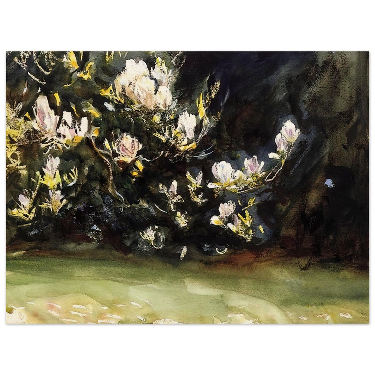 John Singer Sargent  Magnolias Wood Print