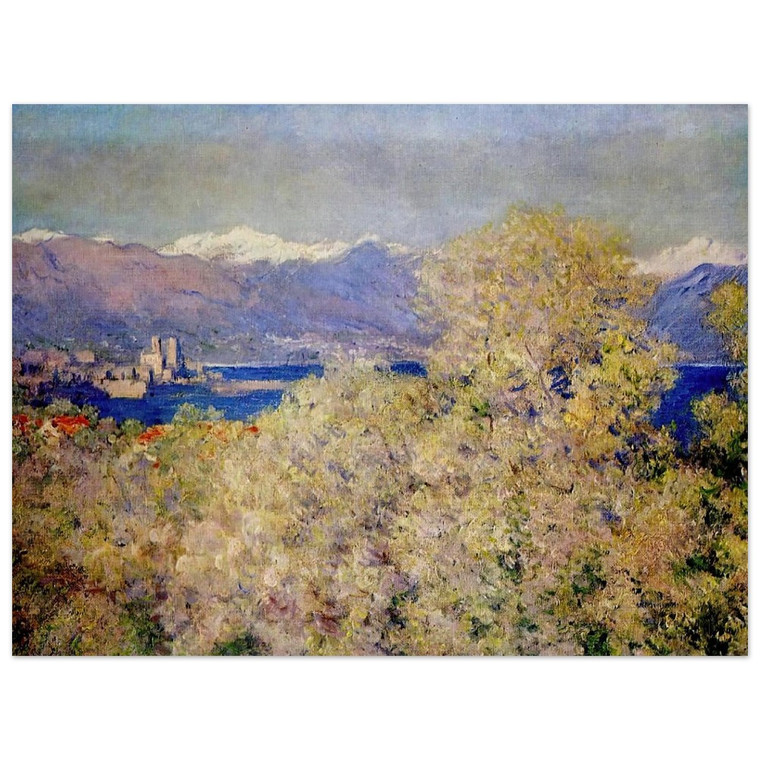 claude monet  Antibes  View of the Salis Gardens Aluminum Print