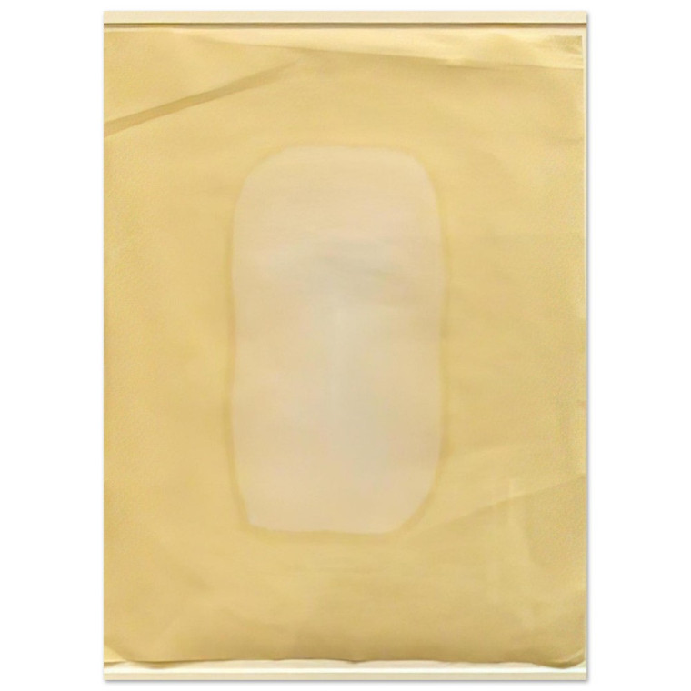 Gotthard Graubner  UNTITLED 1965 N2 Fine Art Poster / Art Print