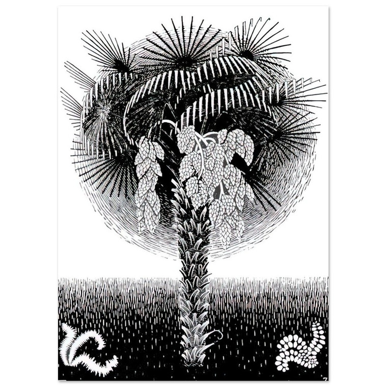 MC Escher  PALM TREE Fine Art Poster / Art Print