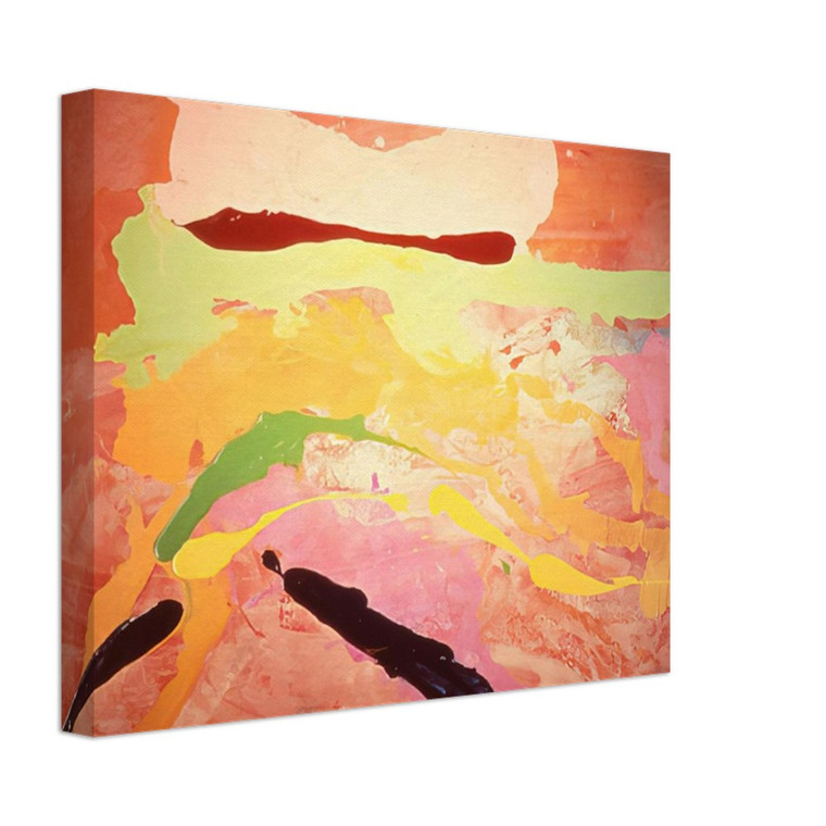 Ronnie Landfield  Untitled  1969 N10 Canvas