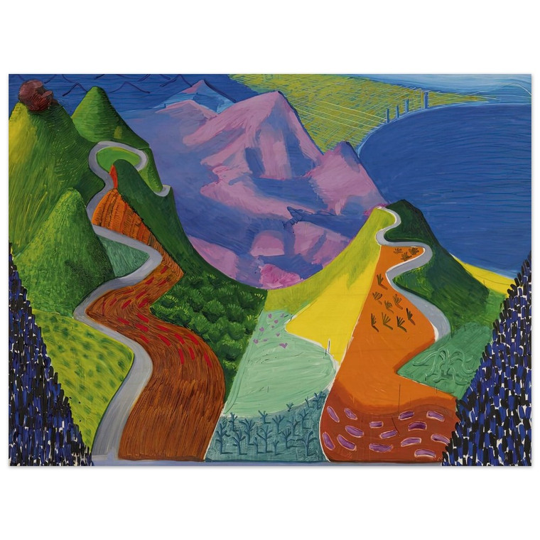 David Hockney  David Hockney N2 Wood Print