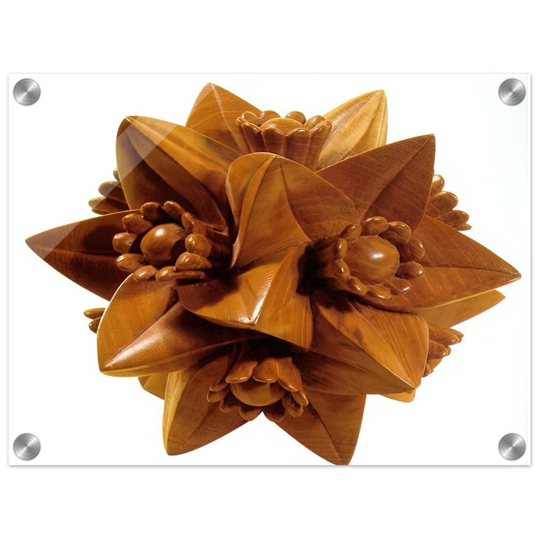 MC Escher  POLYHEDRON WITH FLOWERS Acrylic Print