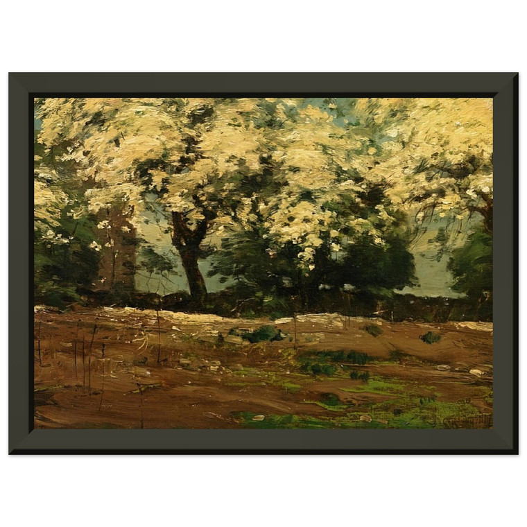 Childe Hassam  Blossoms Premium Metal Framed Art Print / Poster
