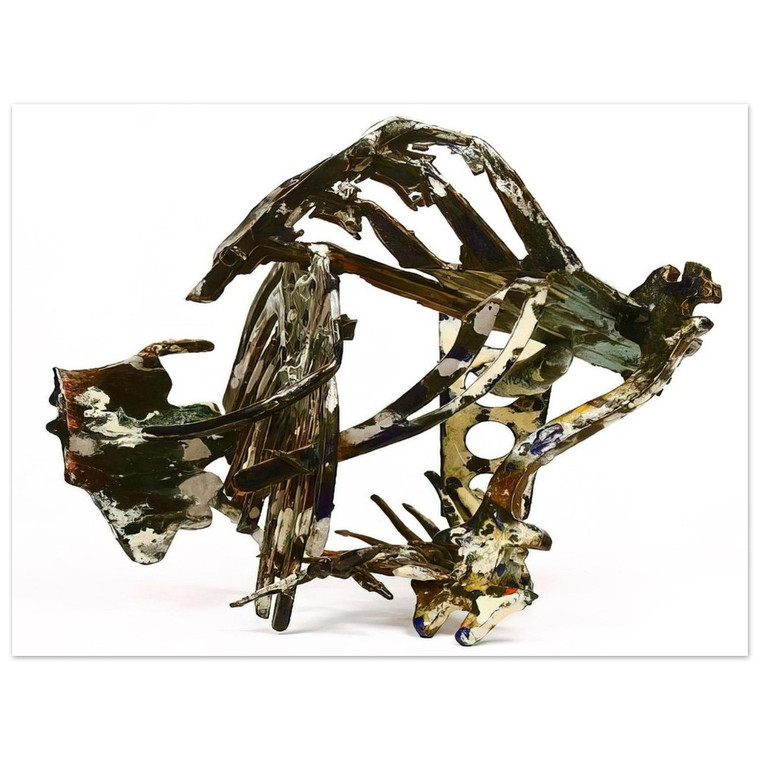 Nancy Graves  Wax Works IX  1987 Aluminum Print