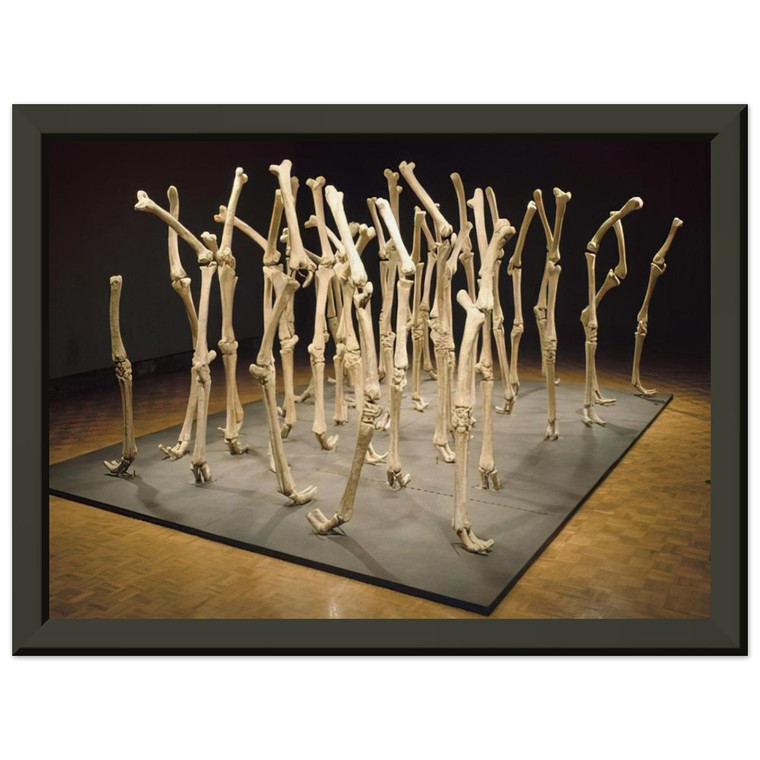 Nancy Graves VARIABILITY OF SIMILAR FORMS 1970 Premium Metal Framed Art Print