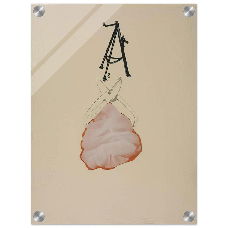 Jim Dine  TOOL BOX 2 1966 Acrylic Print