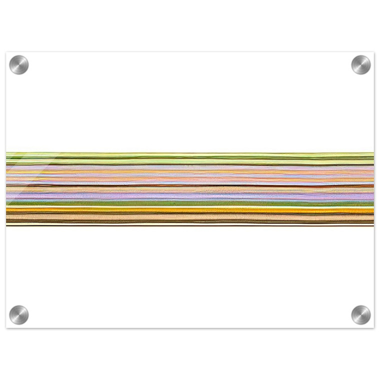 Gene Davis  Untitled 156  1971 Acrylic Print