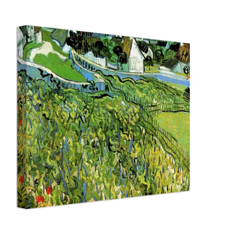 Vincent van Gogh  Vineyards with a View of Auvers Canvas