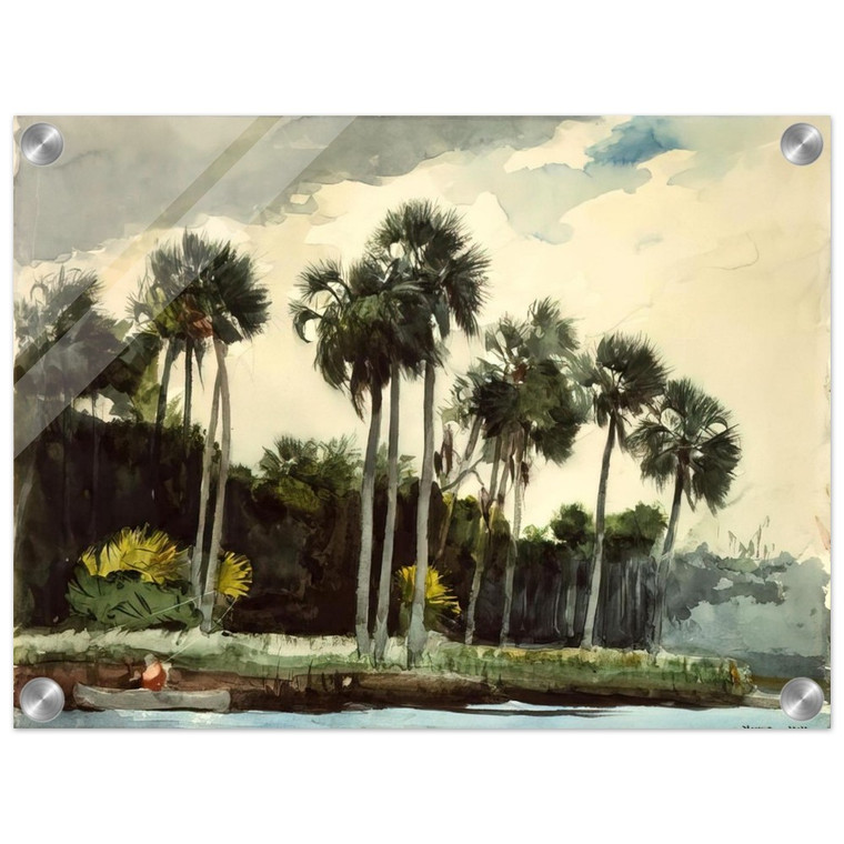 Winslow Homer  THE TURKEY BUZZARD Acrylic Print