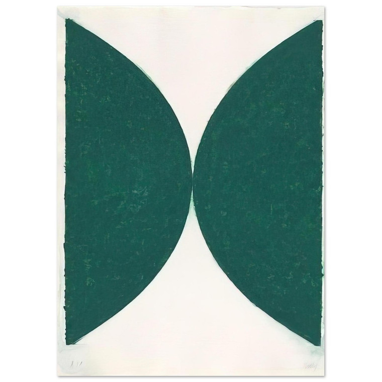 Ellsworth Kelly  Colored paper images II State Fine Art Poster / Art Print