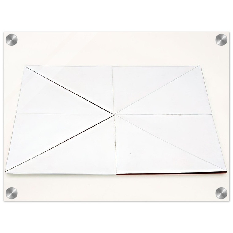 Lygia Pape  Book of Creation Fire  1960 Acrylic Print