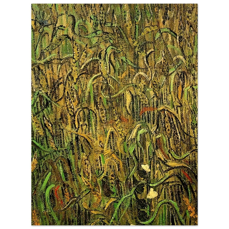 Vincent van Gogh  Ears of Wheat Aluminum Print