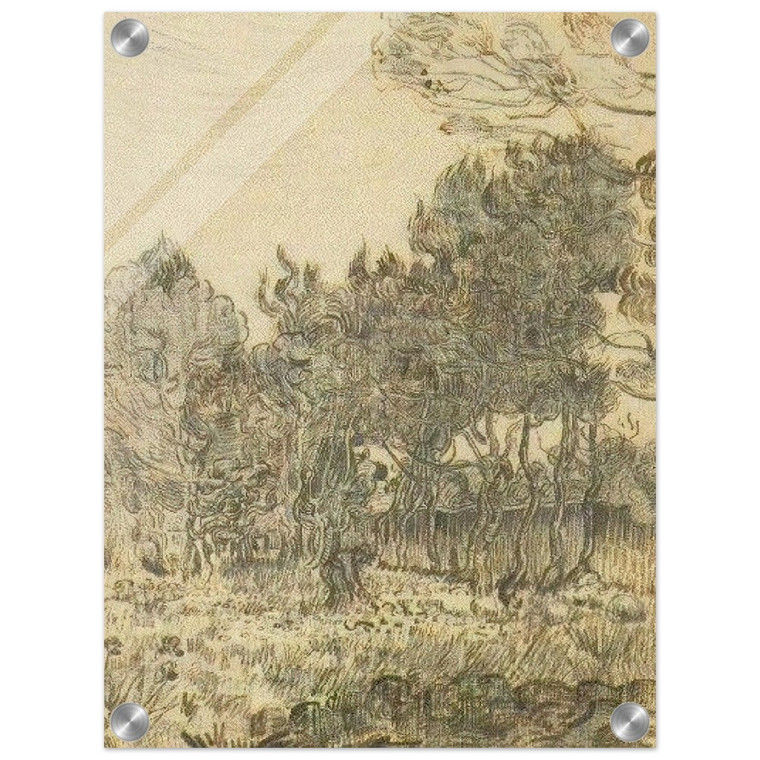 Vincent van Gogh  Pine Trees near the Wall of the Asylum Acrylic Print