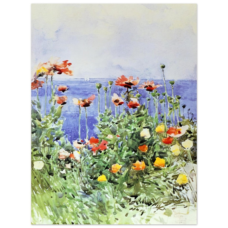 Childe Hassam  Poppies Isles of Shoals 02 Aluminum Print