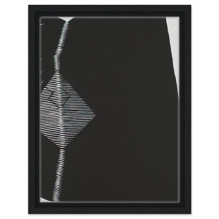 Gego  Untitled  1966 N3 Framed Canvas