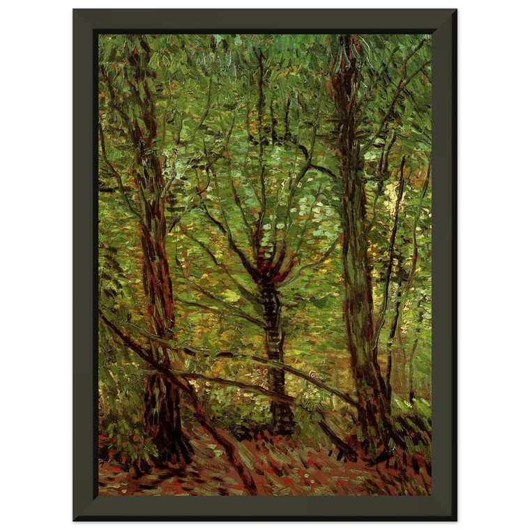 Vincent van Gogh  Trees and Undergrowth Premium Metal Framed Art Print / Poster