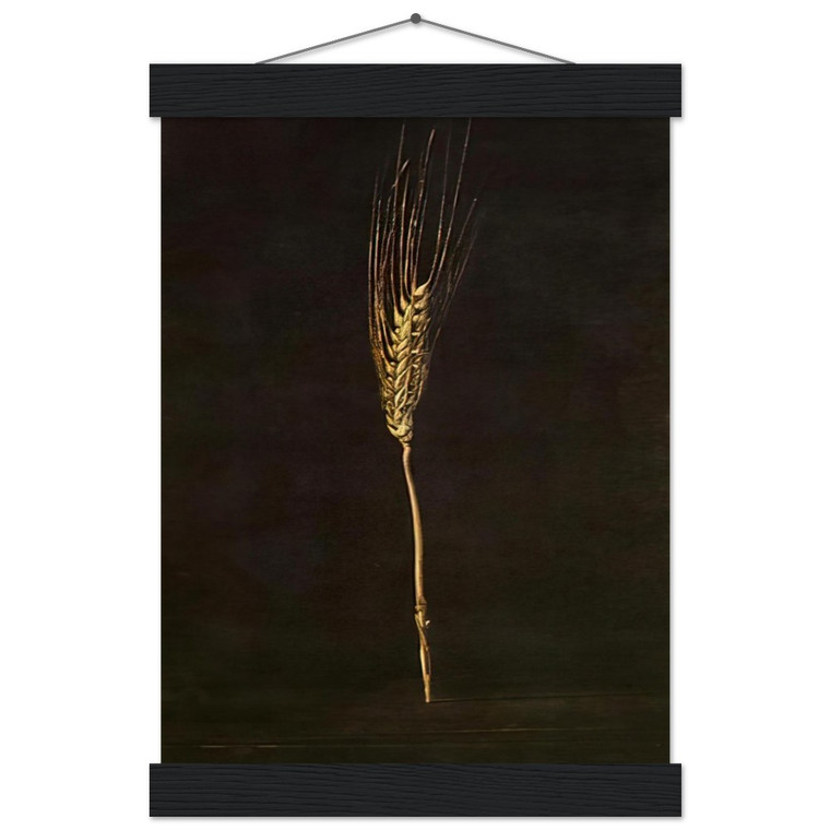 Salvador Dali  WHEAT EAR Museum-Quality Matte Paper Poster with Hanger