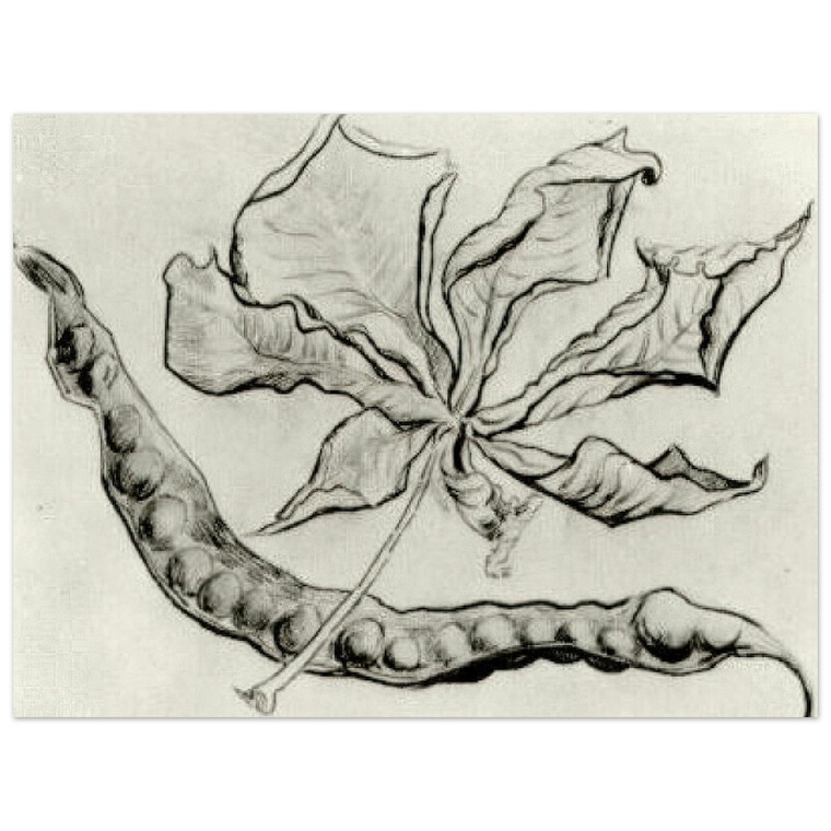 Vincent van Gogh  Dead Leaf and Pod Aluminum Print