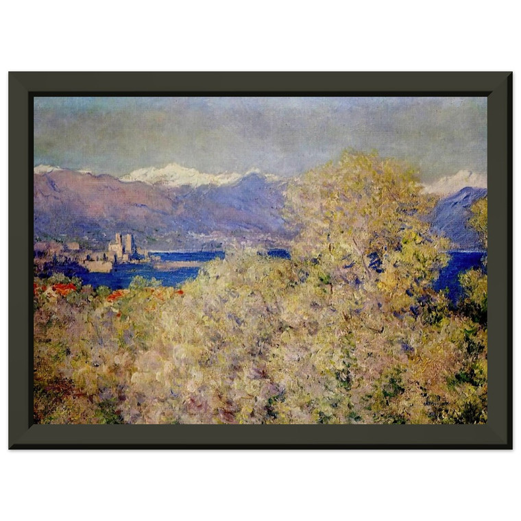 claude monet Antibes Salis Gardens View Premium Metal Framed Art Print / Poster