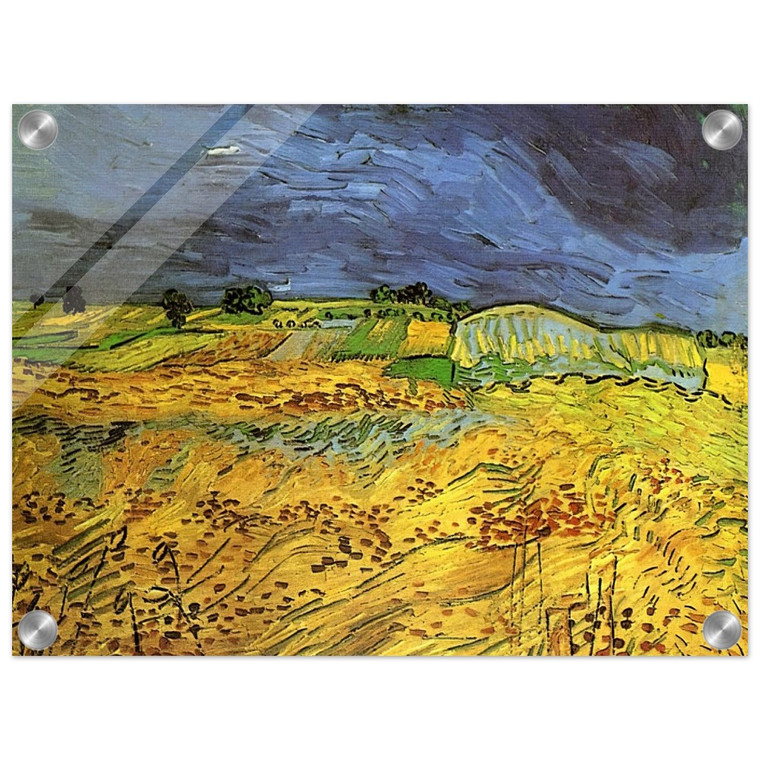 Vincent van Gogh  The Fields Acrylic Print