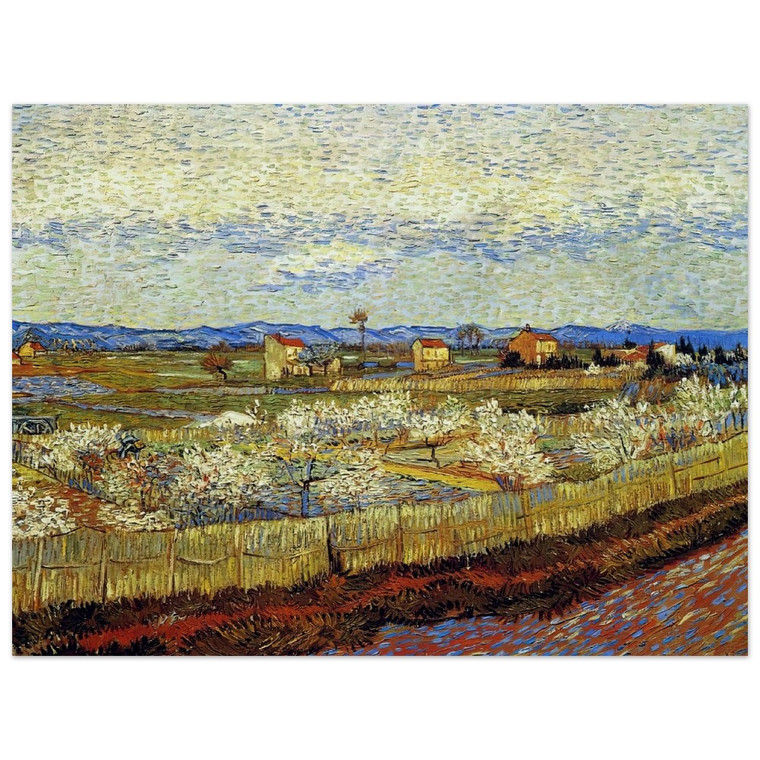 Vincent van Gogh  Peach Trees in Blossom Wood Print